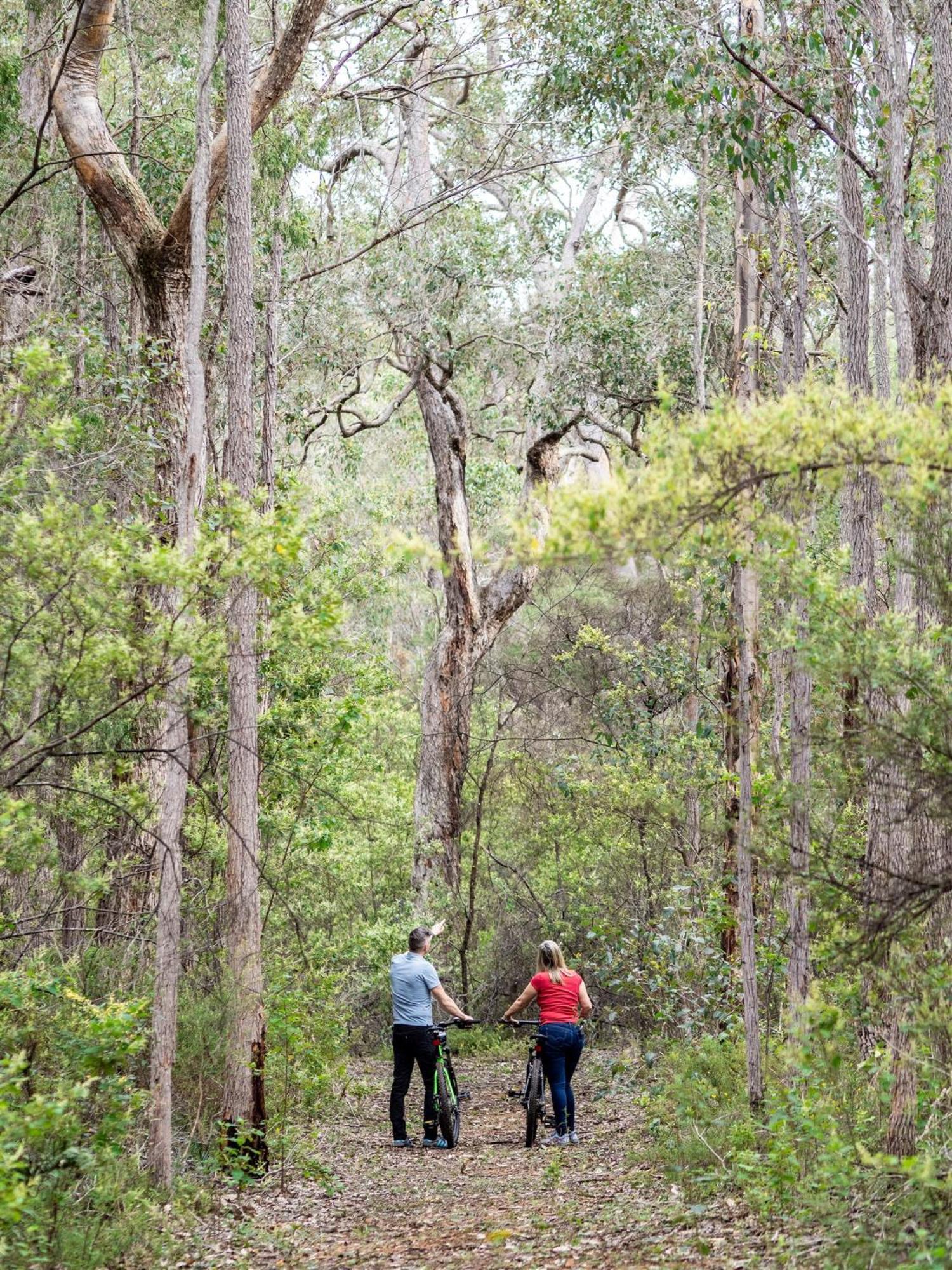 Jarrah Grove Forest Retreat - Adults Only Luxury Chalet Rosa Glen Екстериор снимка